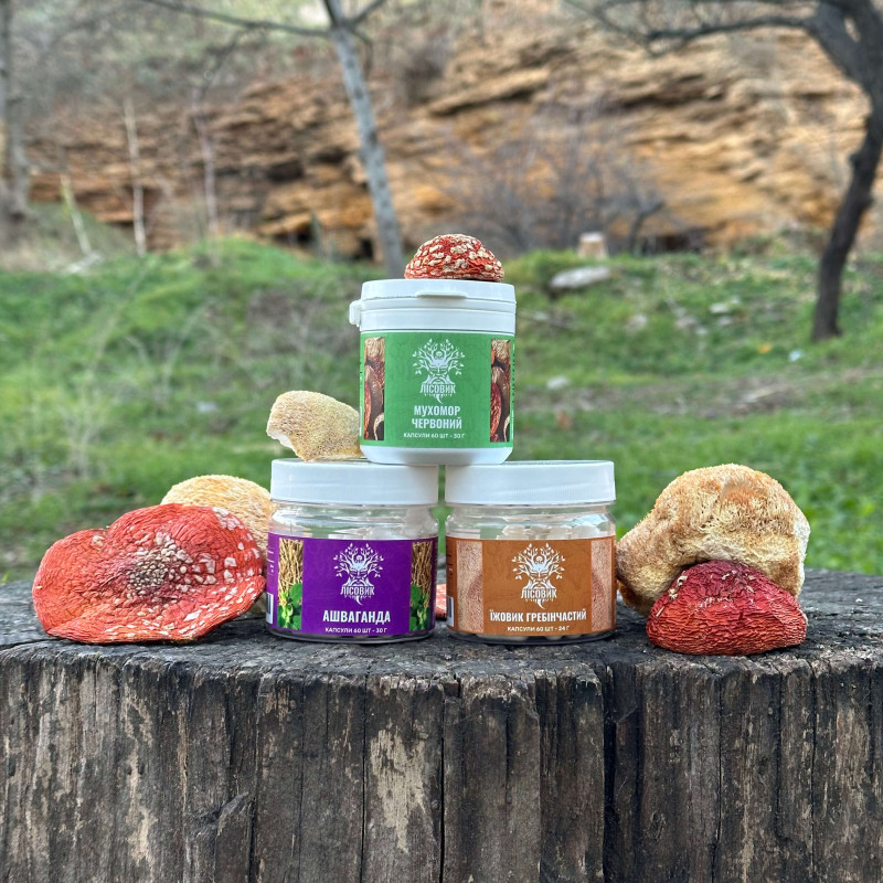 Курс Антистрес: для впевненості та спокою (1 місяць), "Лісовик", 180 капсул