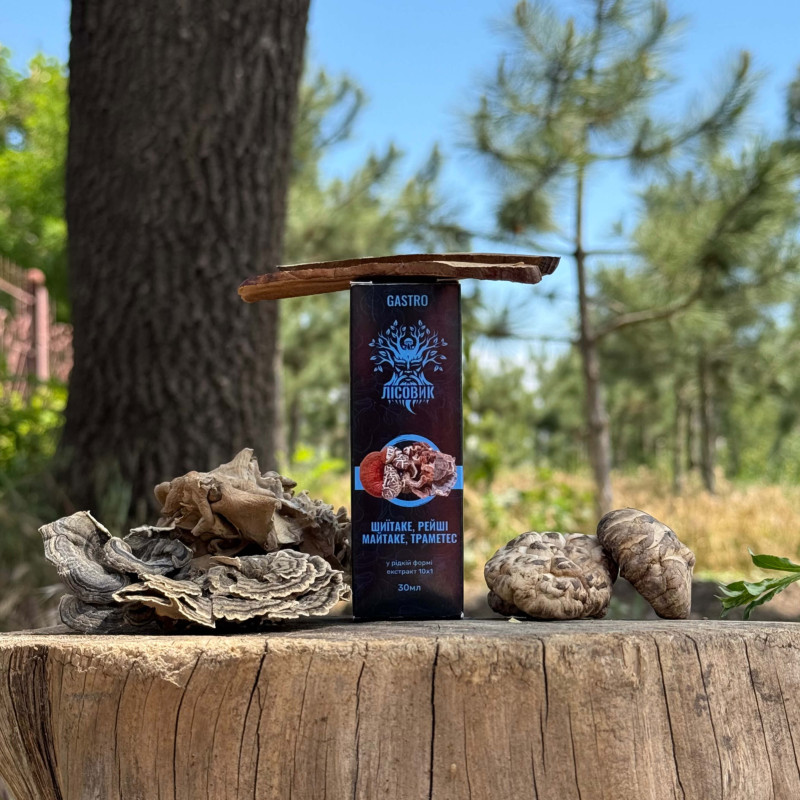 Комплекс рідких екстрактів GASTRO для покращення роботи ШКТ, "Лісовик", 30 мл