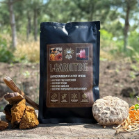 L-CARNITINE коктейль для сжигания жира и роста мышц, "Лесовик", 40 грамм