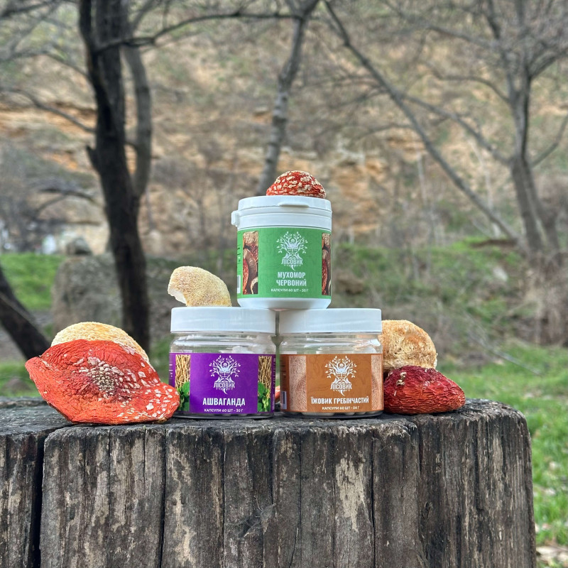 Курс Антистрес: для впевненості та спокою (1 місяць), "Лісовик", 180 капсул