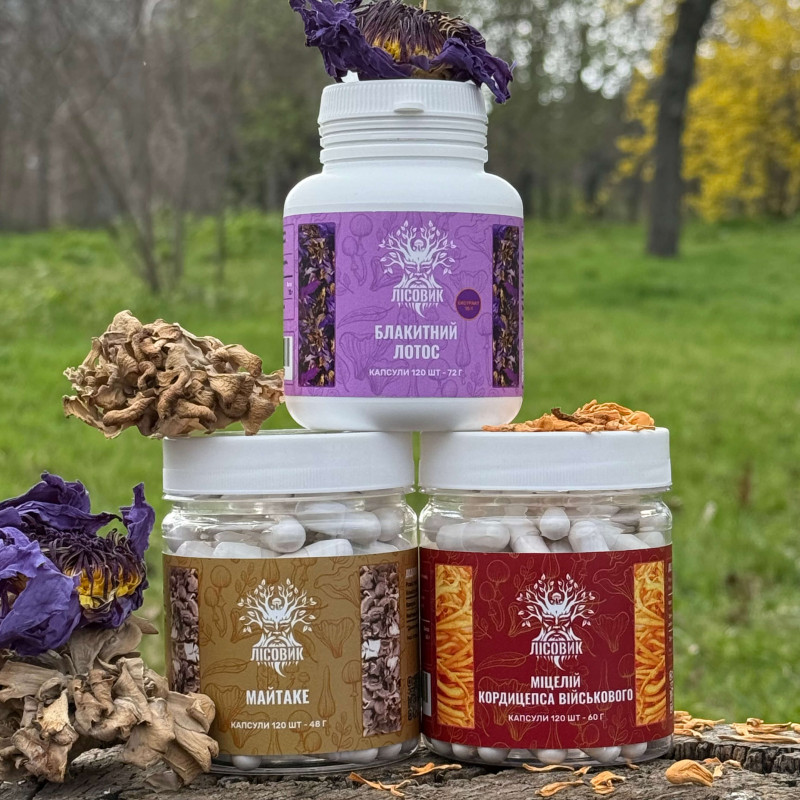 Курс Creativity Unleashed: Творческий поток (2 месяца), "Лесовик", 360 капсул