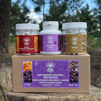 Курс Creativity Unleashed: Творчий потік (2 місяці), "Лісовик", 360 капсул