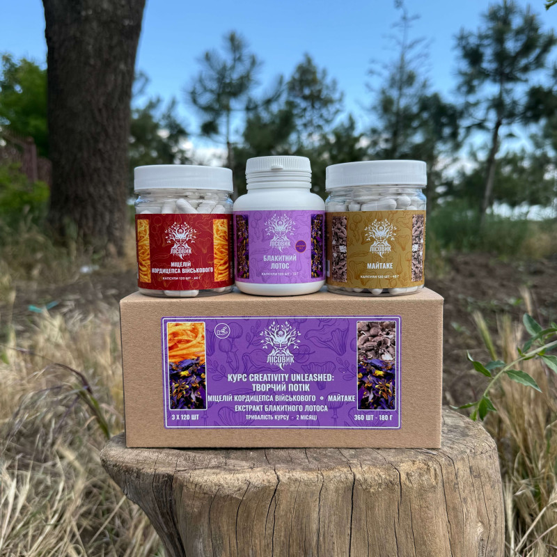 Курс Creativity Unleashed: Творческий поток (2 месяца), "Лесовик", 360 капсул