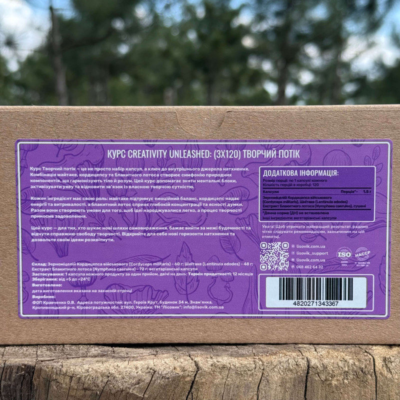 Курс Creativity Unleashed: Творческий поток (2 месяца), "Лесовик", 360 капсул