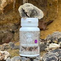 Траметес разноцветный, экстракт 10:1, "Лесовик", 60 капсул по 0.5 г