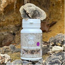 Траметес різнобарвний, екстракт 10:1, "Лісовик", 60 капсул по 0.5 г