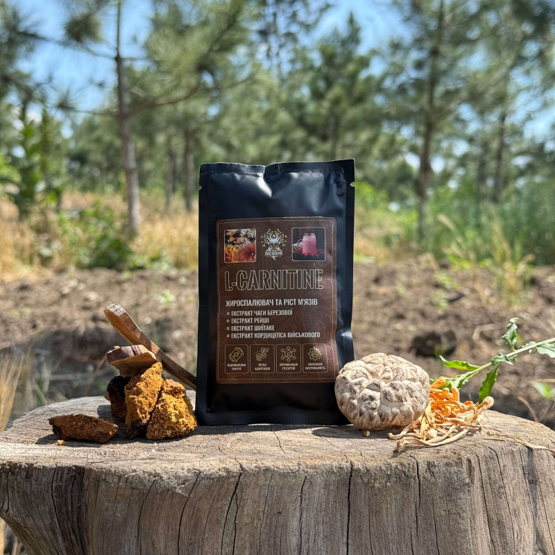 L-CARNITINE коктейль для сжигания жира и роста мышц, "Лесовик", 40 грамм