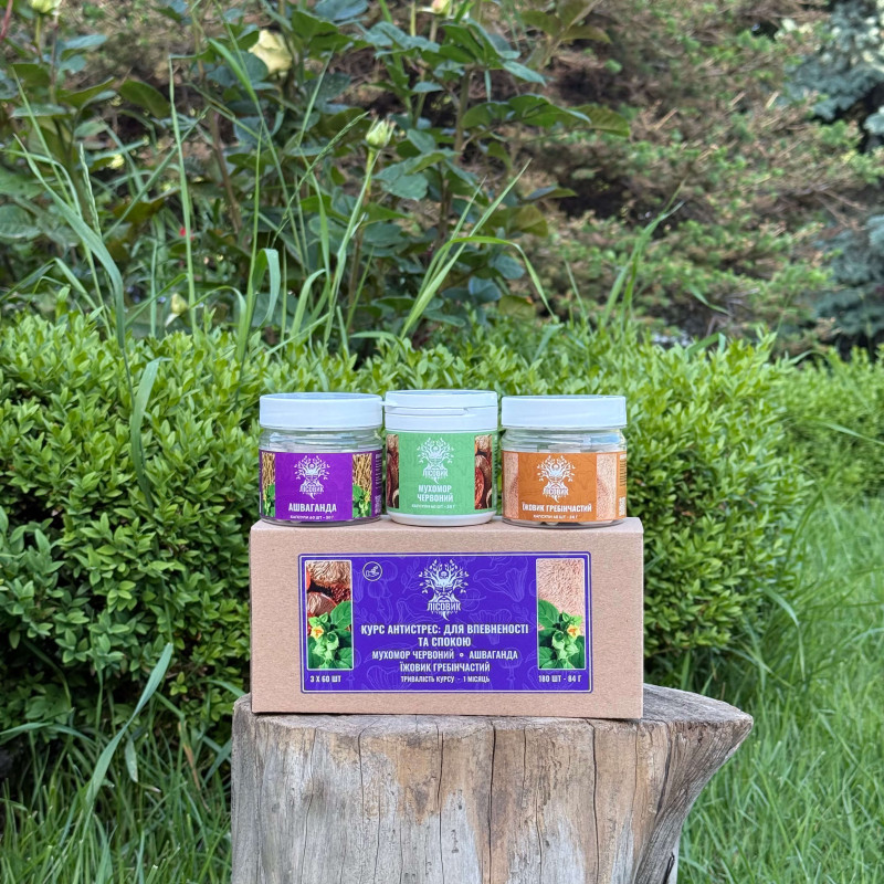 Курс Антистрес: для впевненості та спокою (1 місяць), "Лісовик", 180 капсул