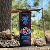 Комплекс рідких екстрактів GASTRO для покращення роботи ШКТ, "Лісовик", 30 мл