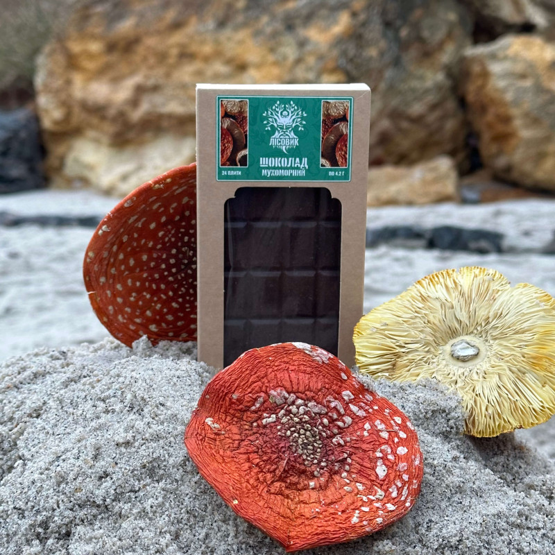 Шоколад грибний із мухомором червоним, "Лісовик", 100 грам (24 плитки по 4.2 г)