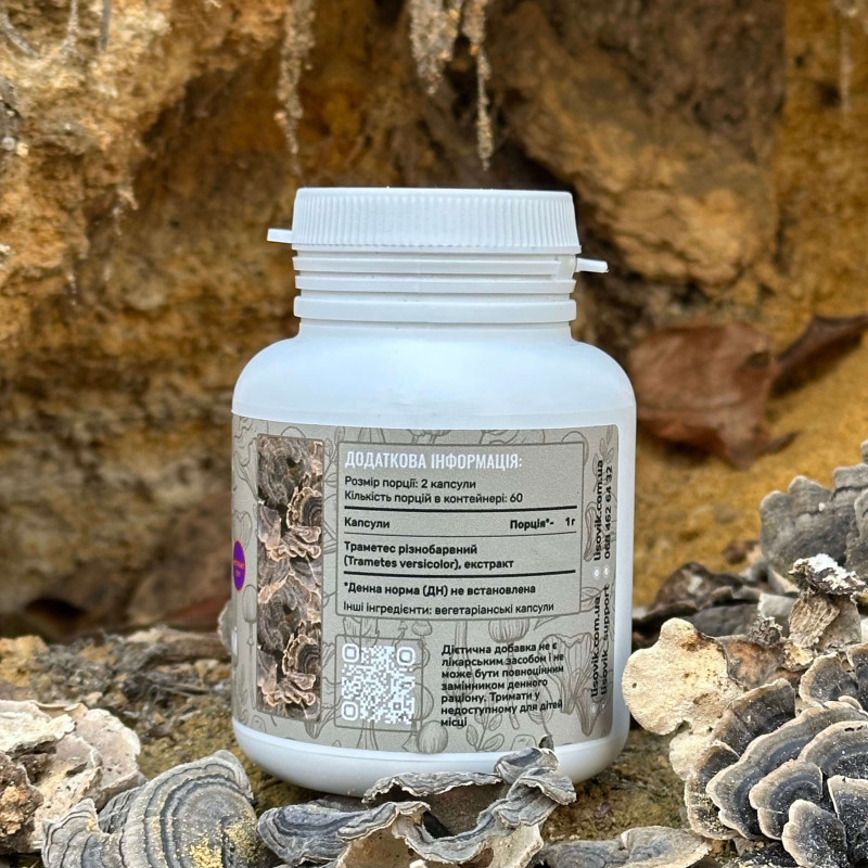 Траметес різнобарвний, екстракт 10:1, "Лісовик", 120 капсул по 0.5 г