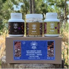 Курс Immunity Guard: Посилення імунітету (2 місяці), "Лісовик", 360 капсул