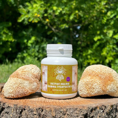 Екстракт міцелію Їжовика гребінчастого, 120 капсул по 0.5 г