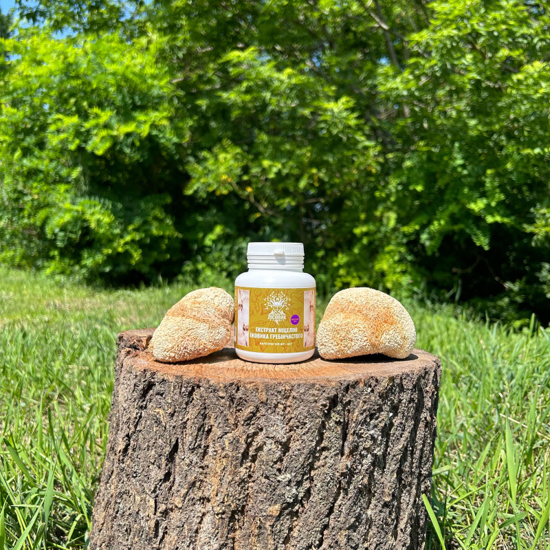 Екстракт міцелію Їжовика гребінчастого, 120 капсул по 0.5 г