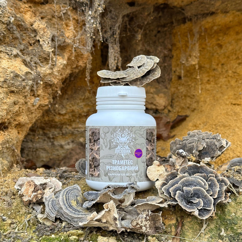 Траметес різнобарвний, екстракт 10:1, "Лісовик", 120 капсул по 0.5 г