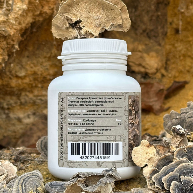 Траметес різнобарвний, екстракт 10:1, "Лісовик", 120 капсул по 0.5 г