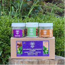 Курс Антистрес: для впевненості та спокою (1 місяць), "Лісовик", 180 капсул