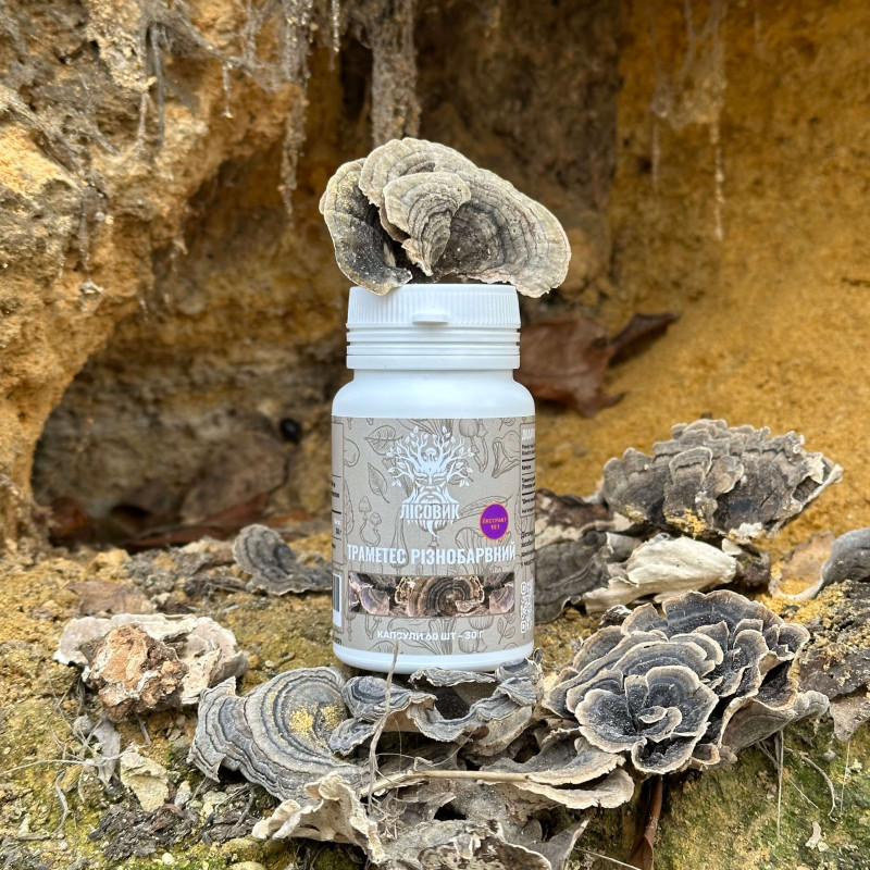 Траметес різнобарвний, екстракт 10:1, "Лісовик", 60 капсул по 0.5 г