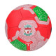 Футбольный мяч "Ливерпуль" Liverpool №5