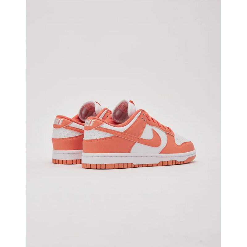 Кросівки жіночі Nike Dunk Low Next Nature (DD1873-109)