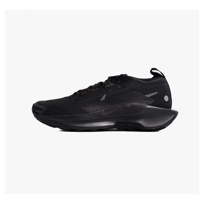 Кросівки для бігу чоловічі Nike Pegasus Trail 5 Gtx (FQ0908-002)