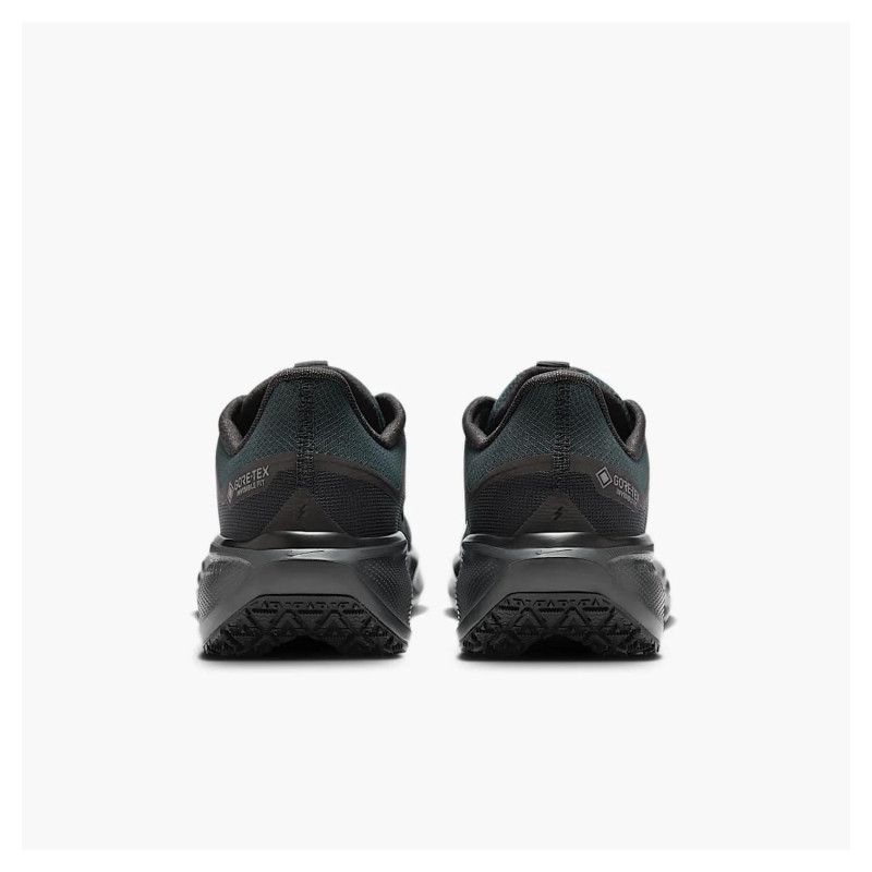 Кросівки для бігу чоловічі Nike Air Zoom Pegasus 41 Gore-Tex (FQ1356-001)