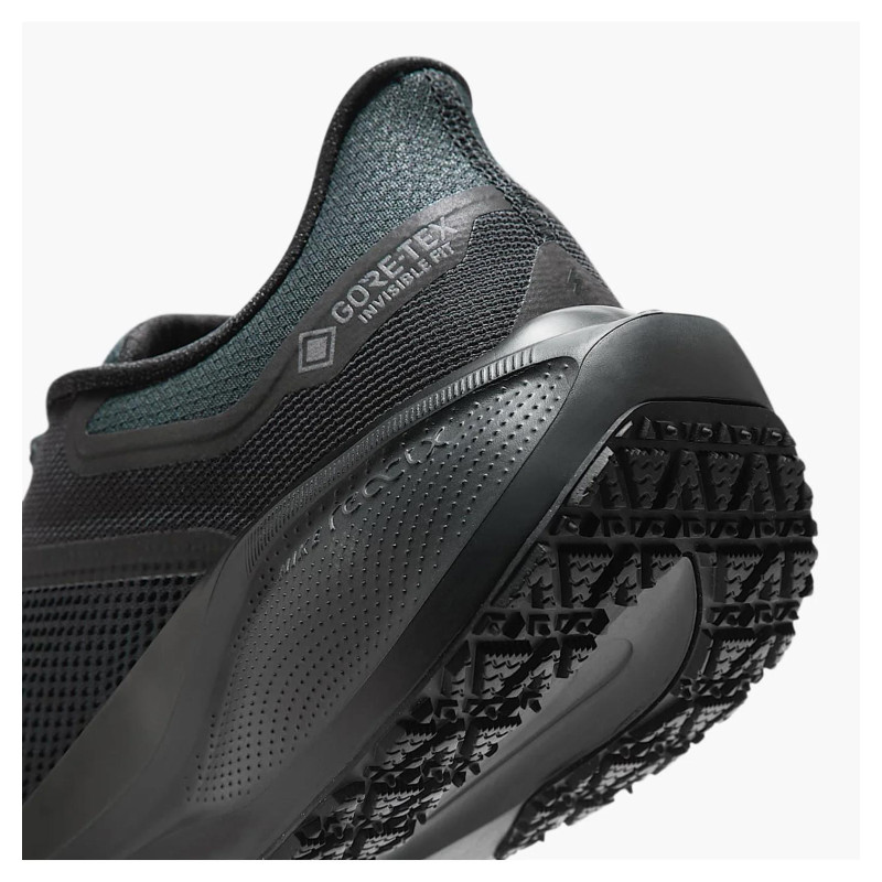 Кросівки для бігу чоловічі Nike Air Zoom Pegasus 41 Gore-Tex (FQ1356-001)