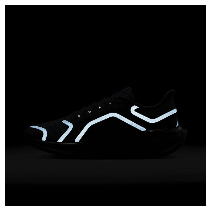 Кросівки для бігу чоловічі Nike Air Zoom Pegasus 41 Gore-Tex (FQ1356-001)