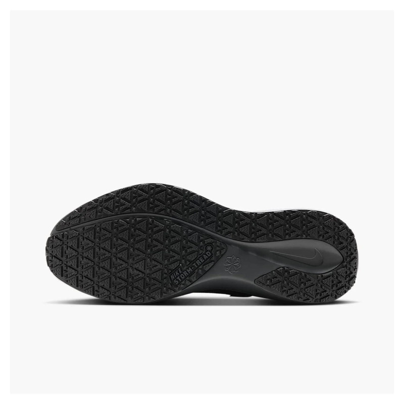 Кросівки для бігу чоловічі Nike Air Zoom Pegasus 41 Gore-Tex (FQ1356-001)