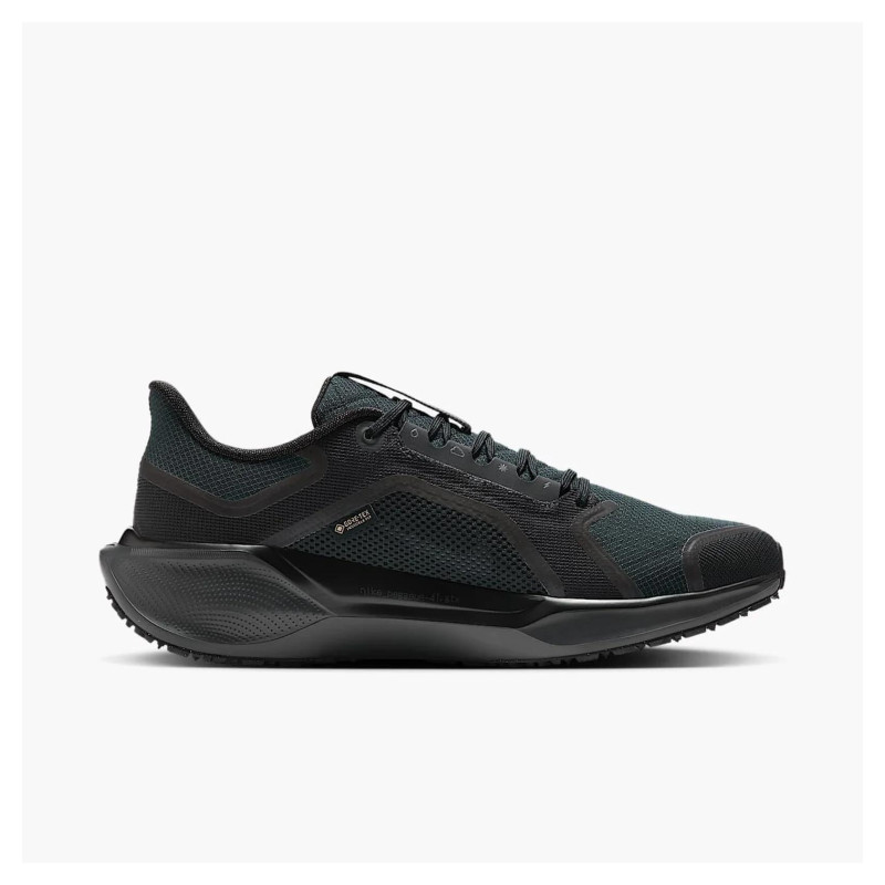 Кросівки для бігу чоловічі Nike Air Zoom Pegasus 41 Gore-Tex (FQ1356-001)