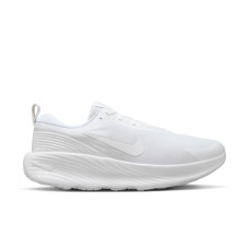 Кросівки чоловічі Nike Promina (FV5285-100)