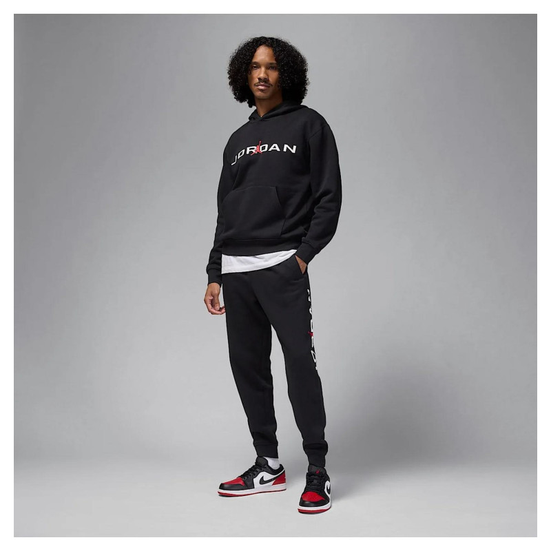 Кофта чоловіча Jordan Essentials (HQ4643-010)