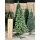 Ялинка із білим напиленням SNOWY FIR