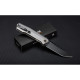 Ніж складаний Ruike P166-AК
