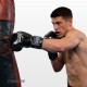 Боксерские перчатки Everlast 14 унций (14 oz) черные