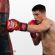 Боксерские перчатки Everlast 6 унций (6 oz) красные
