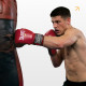 Боксерские перчатки Everlast 6 унций (6 oz) красные