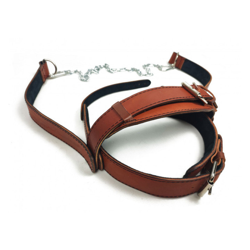 Упряж шкіряна EasyFit BISON борцівська для шиї з ланцюгом, Шкіра, Сталь, Коричневий