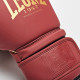 Боксерські рукавиці Leone GN059X BORDEAUX ED 14 унцій 