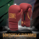 Боксерські рукавиці Leone GN059X BORDEAUX ED 14 унцій 