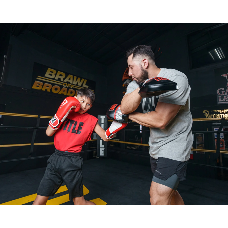 Лапи боксерські TITLE Boxing Valiant Punch Mitts - Black/Silver