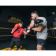 Лапи боксерські TITLE Boxing Valiant Punch Mitts - Black/Silver