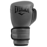 Боксерські рукавиці Everlast POWERLOCK 2R TRAINING GLOVE