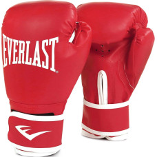 Боксерські рукавиці Everlast CORE 2 TRAINING GLOVES