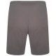 Шорти Puma teamRISE Short