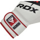 Боксерські рукавиці RDX Boxing Gloves F7