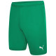 Шорти Puma teamRISE Short