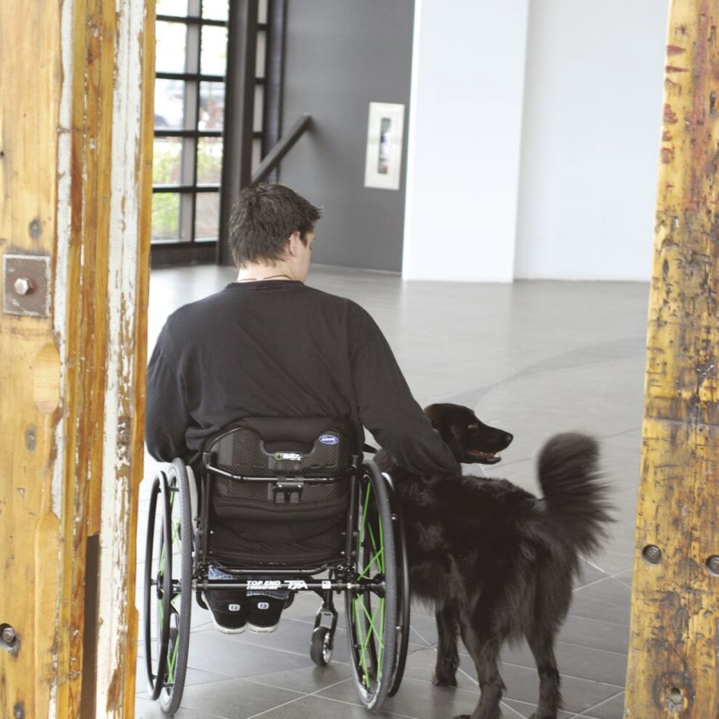 Спинка Matrx MX2 Invacare (MatrxMX2-1699)
