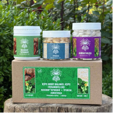 Курс Night Balance: Курс глубокого сна (2 месяца), "Лесовик", 360 капсул