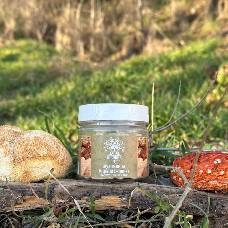 Мікс міцелію Їжовика з червоним мухомором, "Лісовик", 60 капсул по 0,5 г